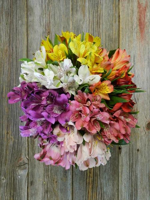 BEST SELLER SUPER ASSORTED ALSTROMERIA  COMBO BOX